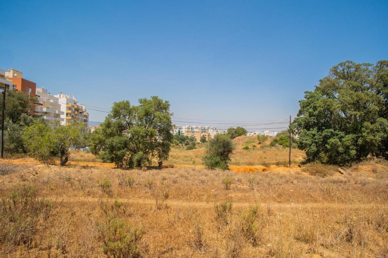 Hamall Host Alvor Kültér fotó